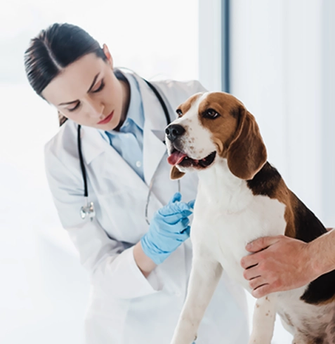 Karabağlar Veteriner