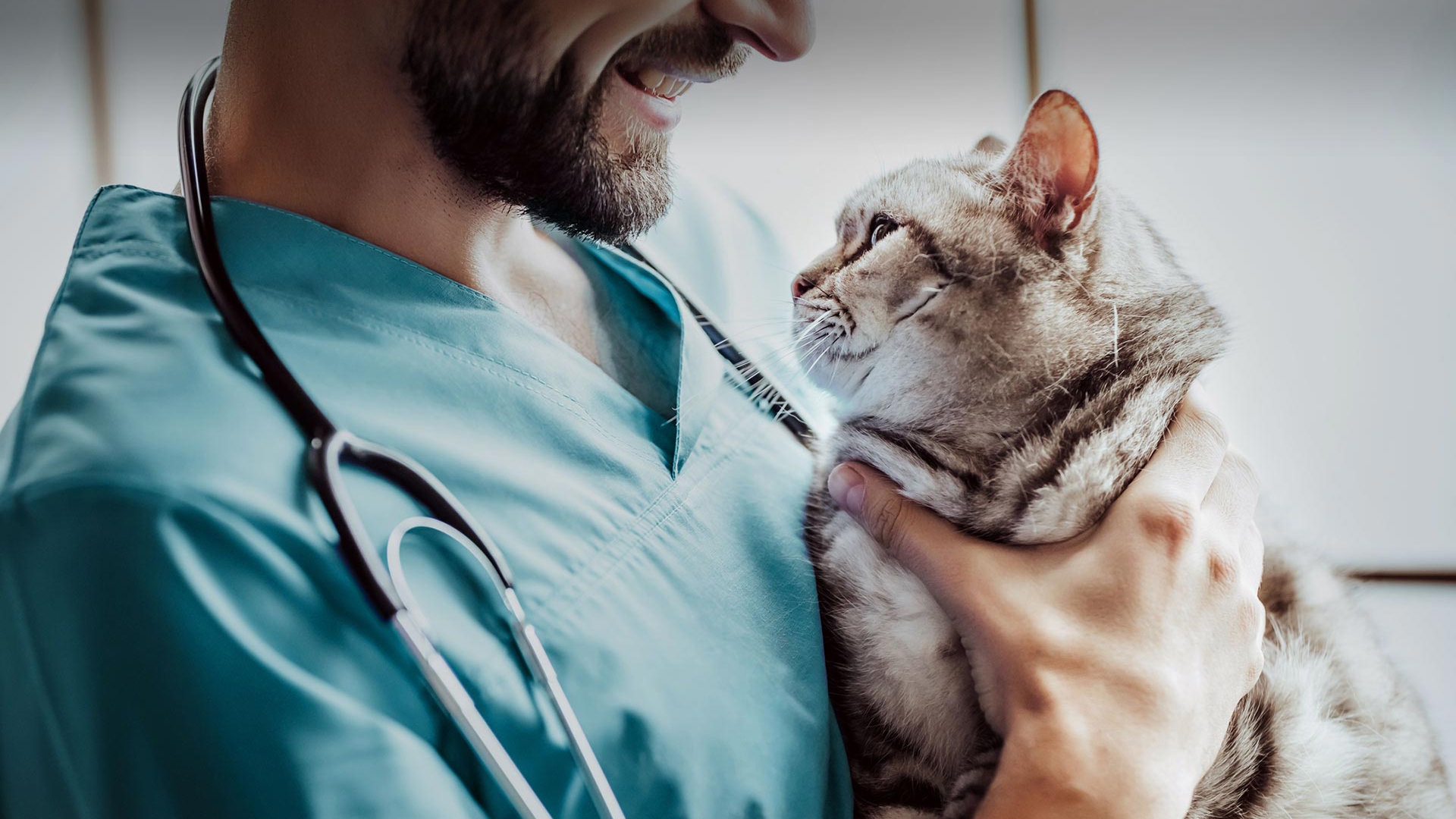 Karabağlar Veteriner